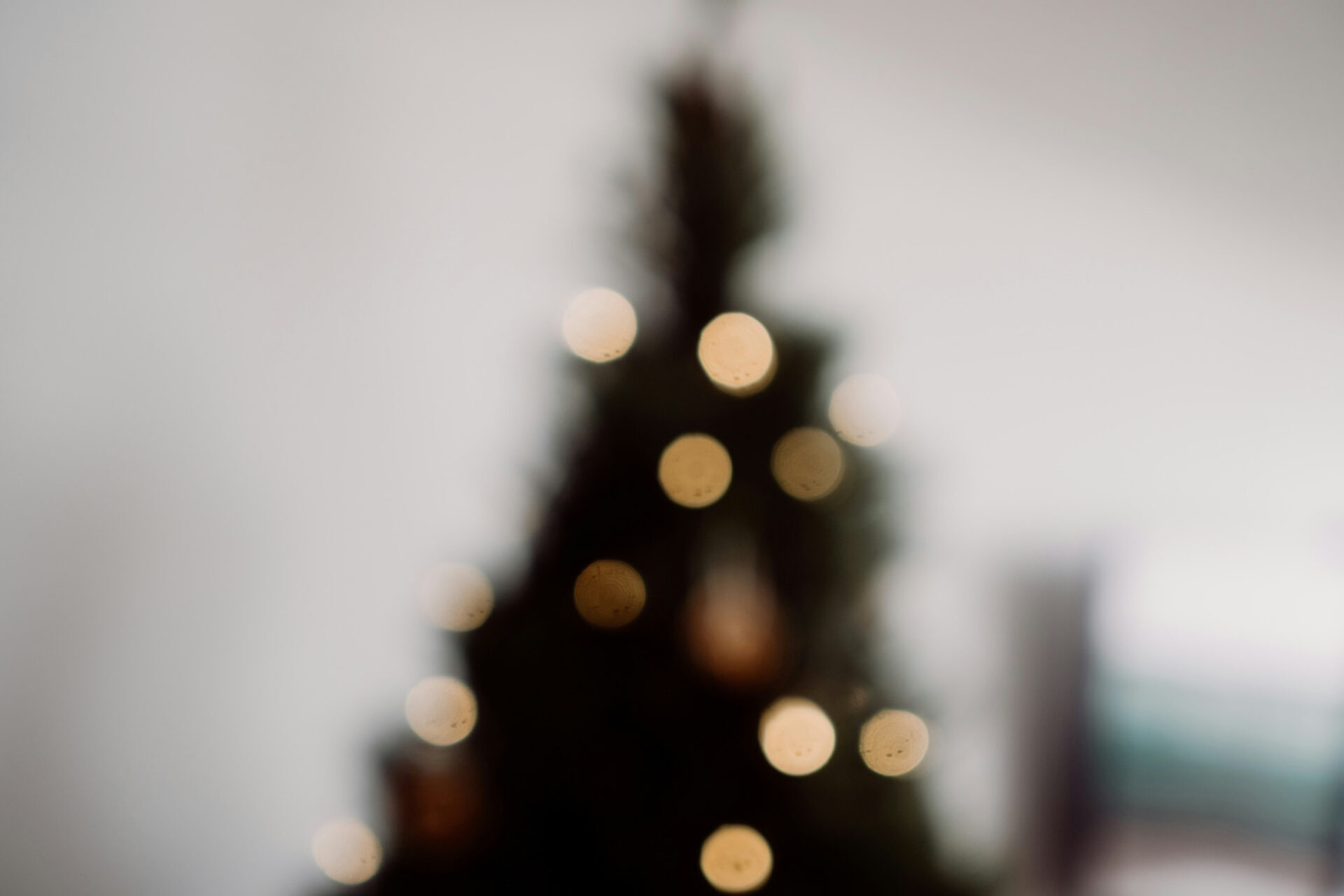 How to Navigate the Holidays: Coping Strategies for Thanksgiving and Beyond